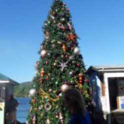 HARBOR: BAY ISLANDS HONDURAS