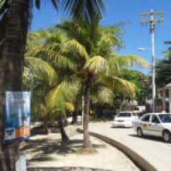 WEST SIDE VILLAGE, HONDURAS