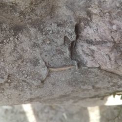 Cracks in the Ruins