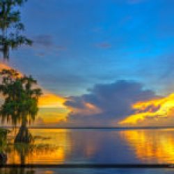Lake Istokpoga Lake Placid Florida Cypress Tree and Sunray