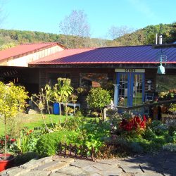 The pottery studio and garden