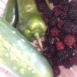 CUCUMBER, BLACKBERRIES, JALAPENO AND PEPPERS