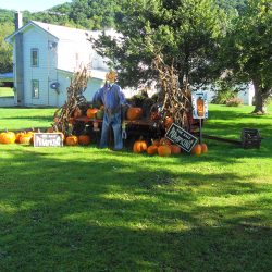 Pumpkin and scarecrow display