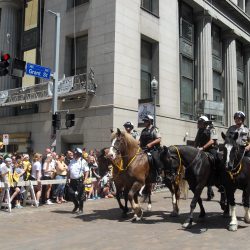 Mounted horses