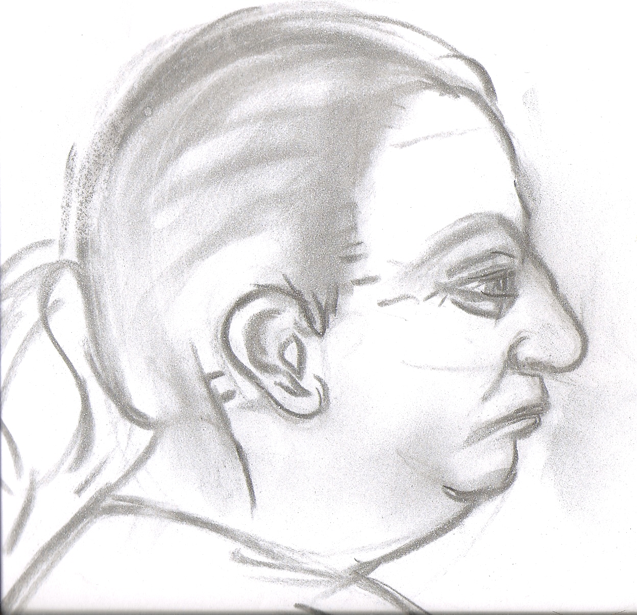 Contour Drawing of the Head