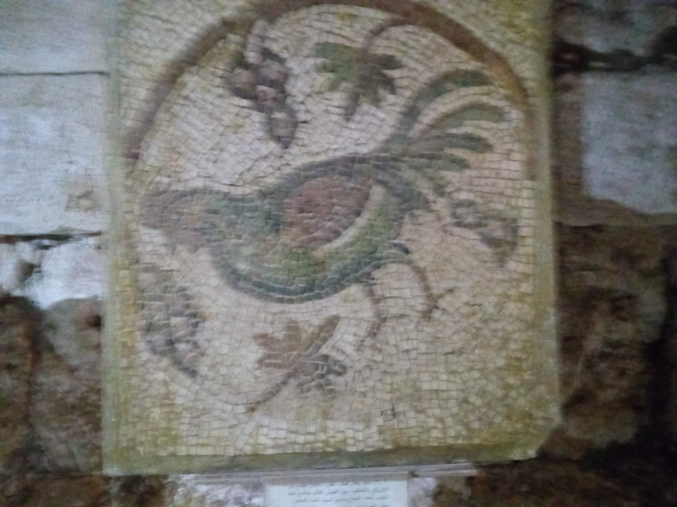 Ancient Greek Mosaics